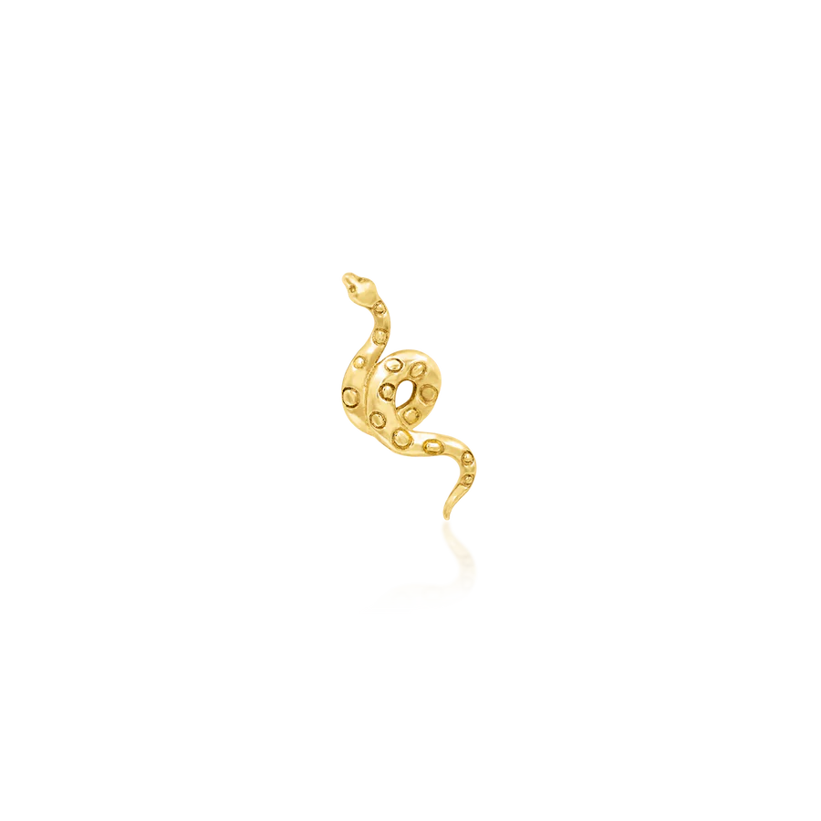 Textured Snake