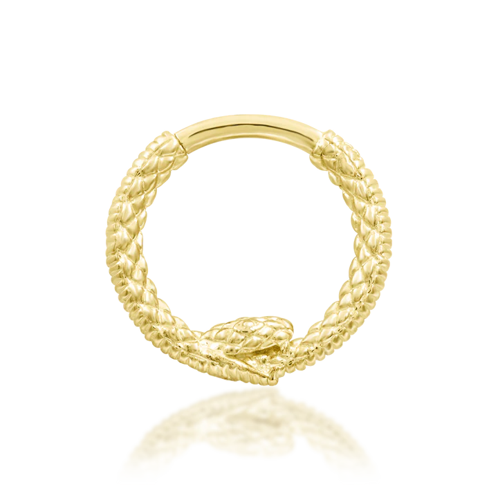 Ouroboros
