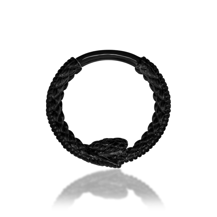 Scene Ouroboros