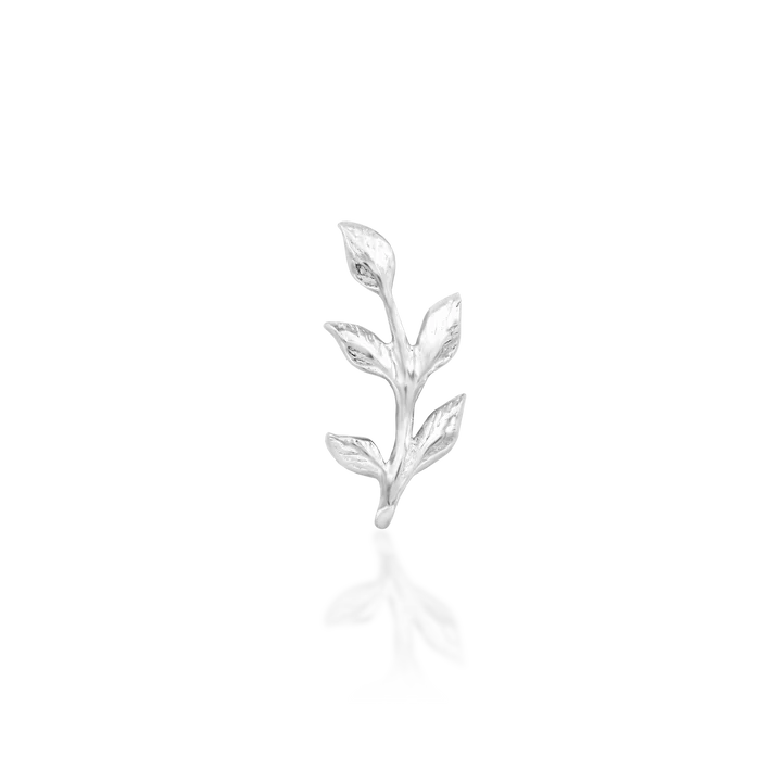 Aspen